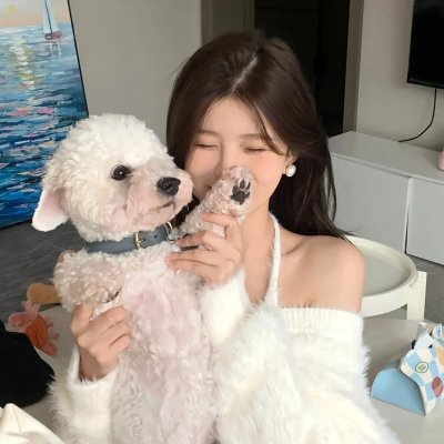 明月守护者